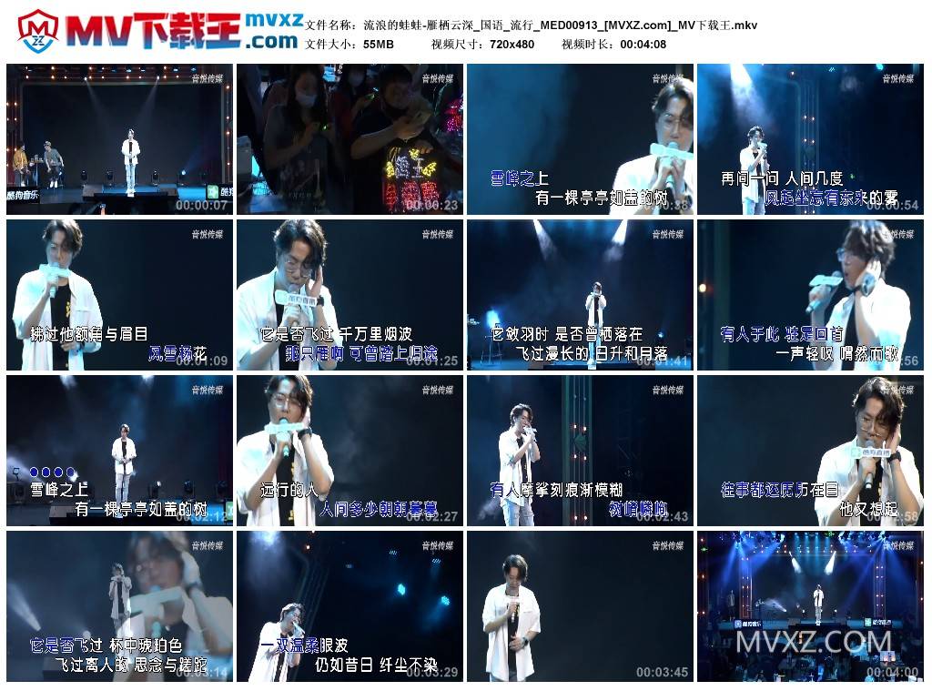 流浪的蛙蛙-雁栖云深_国语_流行_MED00913